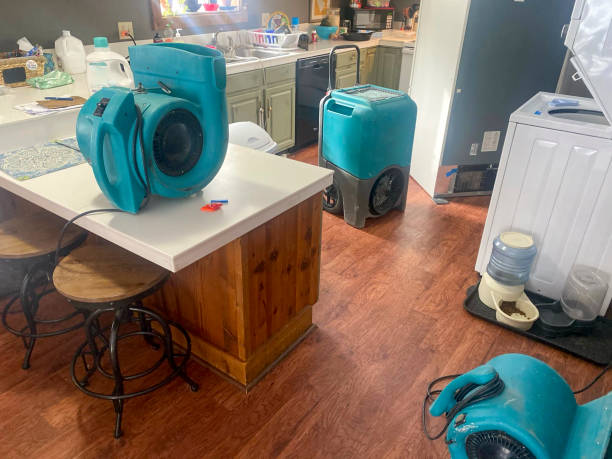 Best Mold removal after water damage  in Murphys Estates, SC
