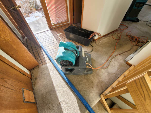 Best Flooded house restoration  in Murphys Estates, SC