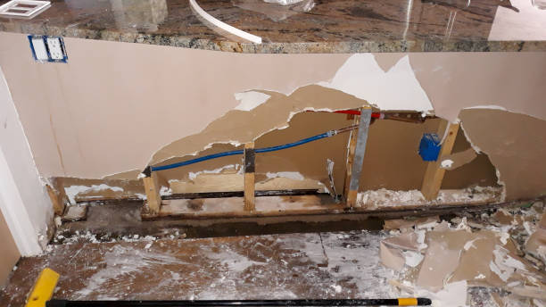 Best Professional water damage repair  in Murphys Estates, SC